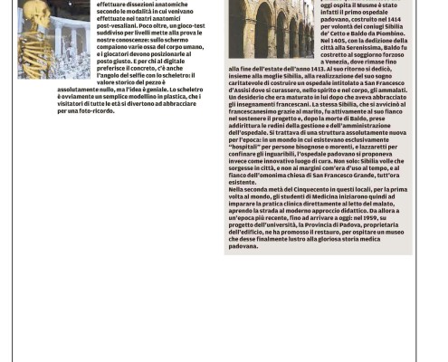 mattino3