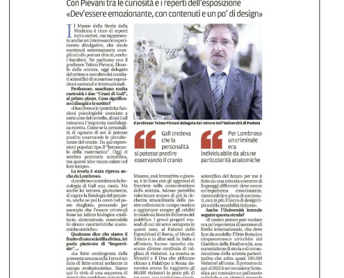 mattino4