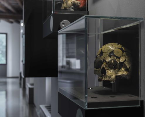 Frenologia primo piano di un cranio frenologico nella sala della fisiologia