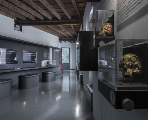 Crani Frenologici interno della sala della fisiologia con due crani frenologici esposti