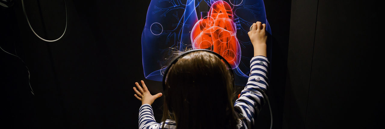 Bambina interagisce con una postazione interattiva nella sala della patologia del MUSME