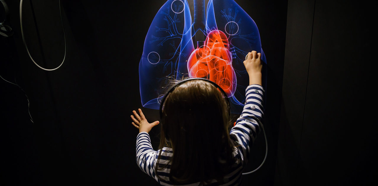 Bambina interagisce con una postazione interattiva nella sala della patologia del MUSME