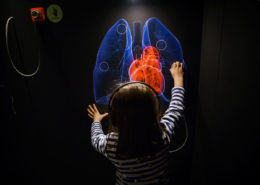 Bambina interagisce con una postazione interattiva nella sala della patologia del MUSME