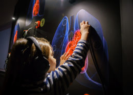 Bambina di profilo interagisce con una postazione interattiva nella sala della patologia del MUSME