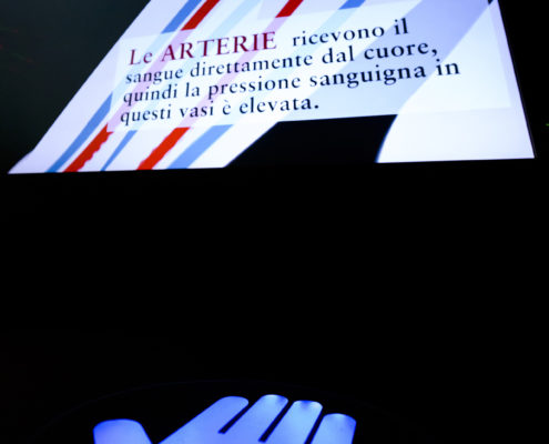schermo che spiega la circolazione del sangue nella sala della fisiologia