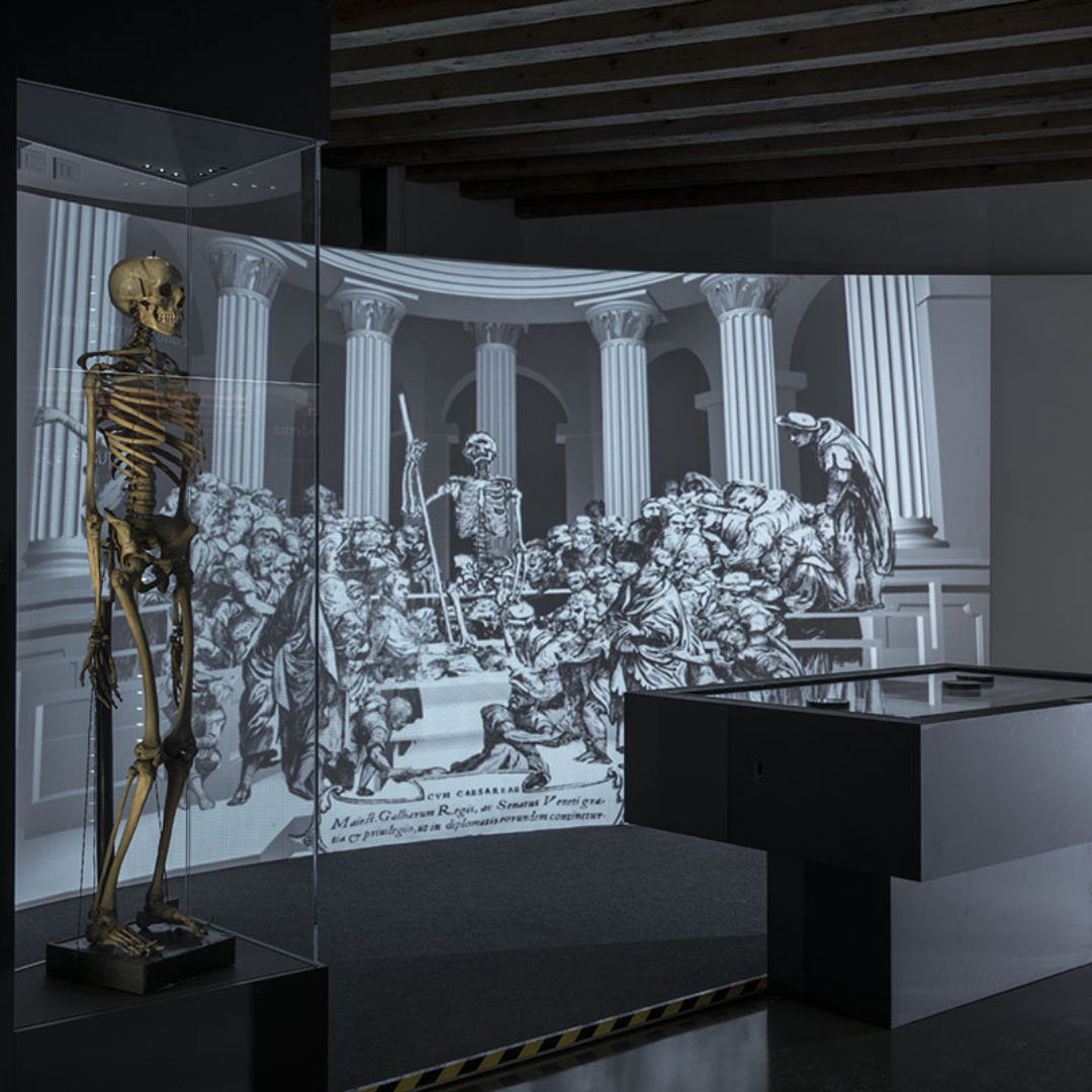 Sala dell’anatomia Sala dell’anatomia MUSME Padova