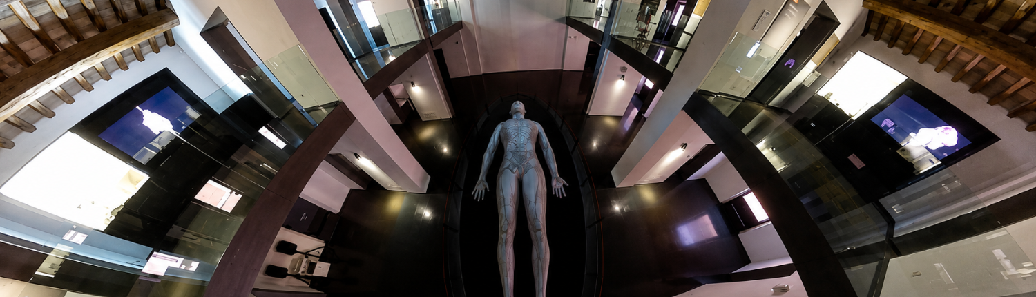 Teatro vesaliano - 1500x430