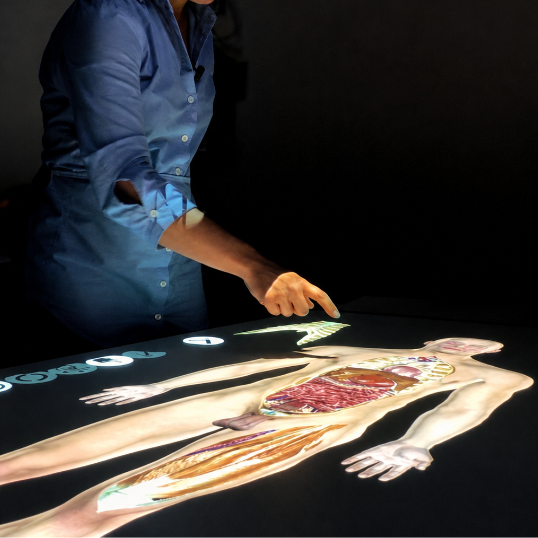Cadaver Lab virtuale